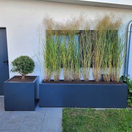 Pflanzgefäßen