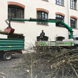 Bepflanzung & Pflege